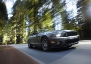 Shelby Cobra GT500 Show Car